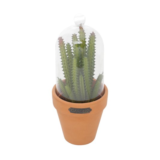 Vaso com Redoma Candelabra Cactus Plant Redgum - URBAN