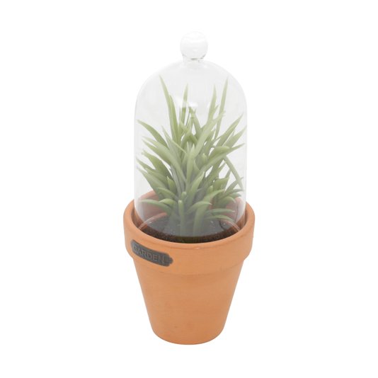 Vaso com Redoma Succulent Plant Redgum - URBAN