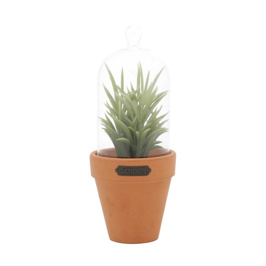 Vaso com Redoma Succulent Plant Redgum - URBAN