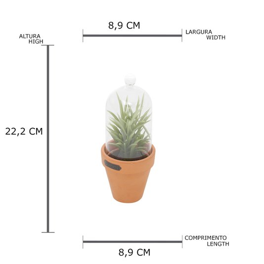 Vaso com Redoma Succulent Plant Redgum - URBAN