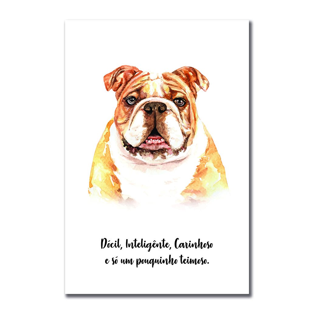 Adesivo de Carro Cachorro Buldogue Inglês