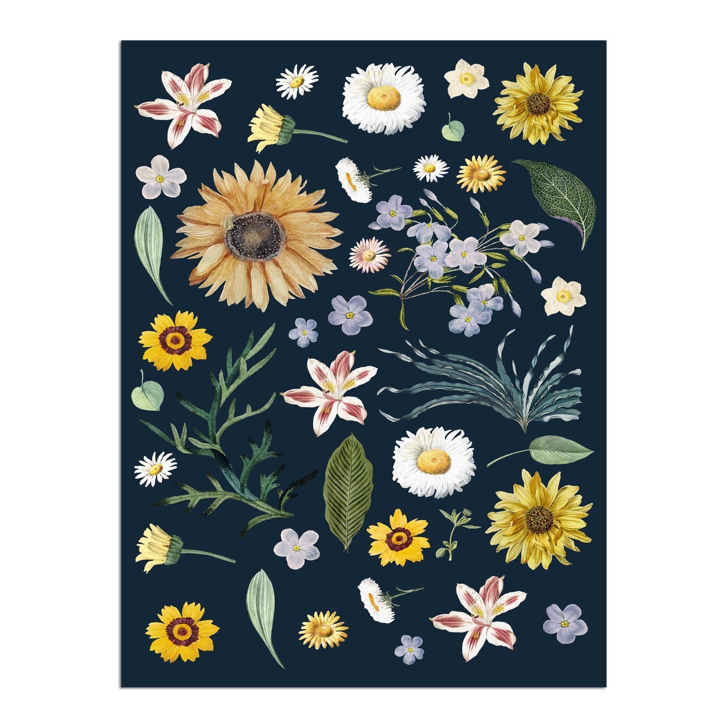 Placa Decorativa Flores Silvestres Estilo Modern Heritage