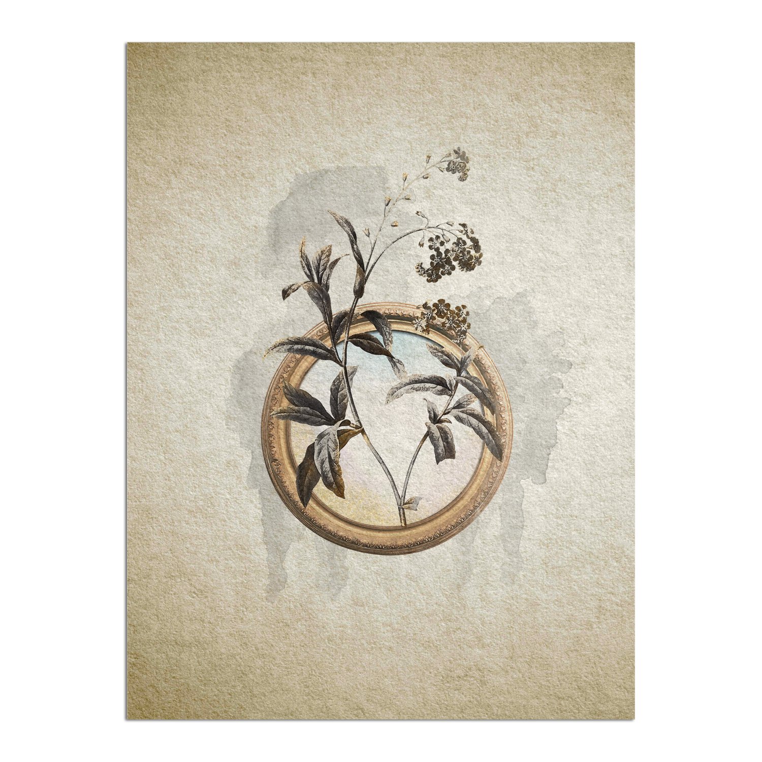 Placa Decorativa Molduras Com Flores Vintage