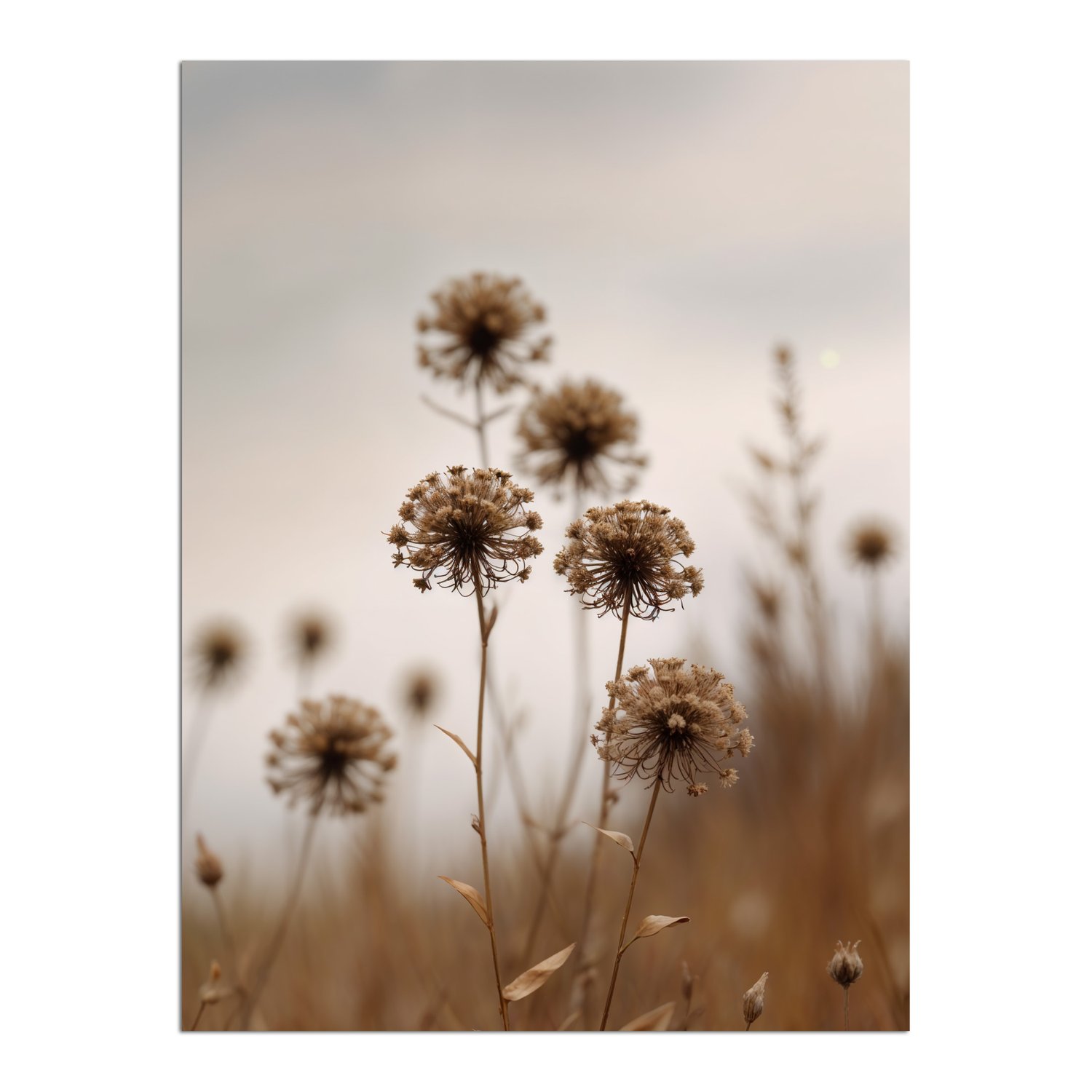 Placa Decorativa Natureza Minimalista Plantas Secas
