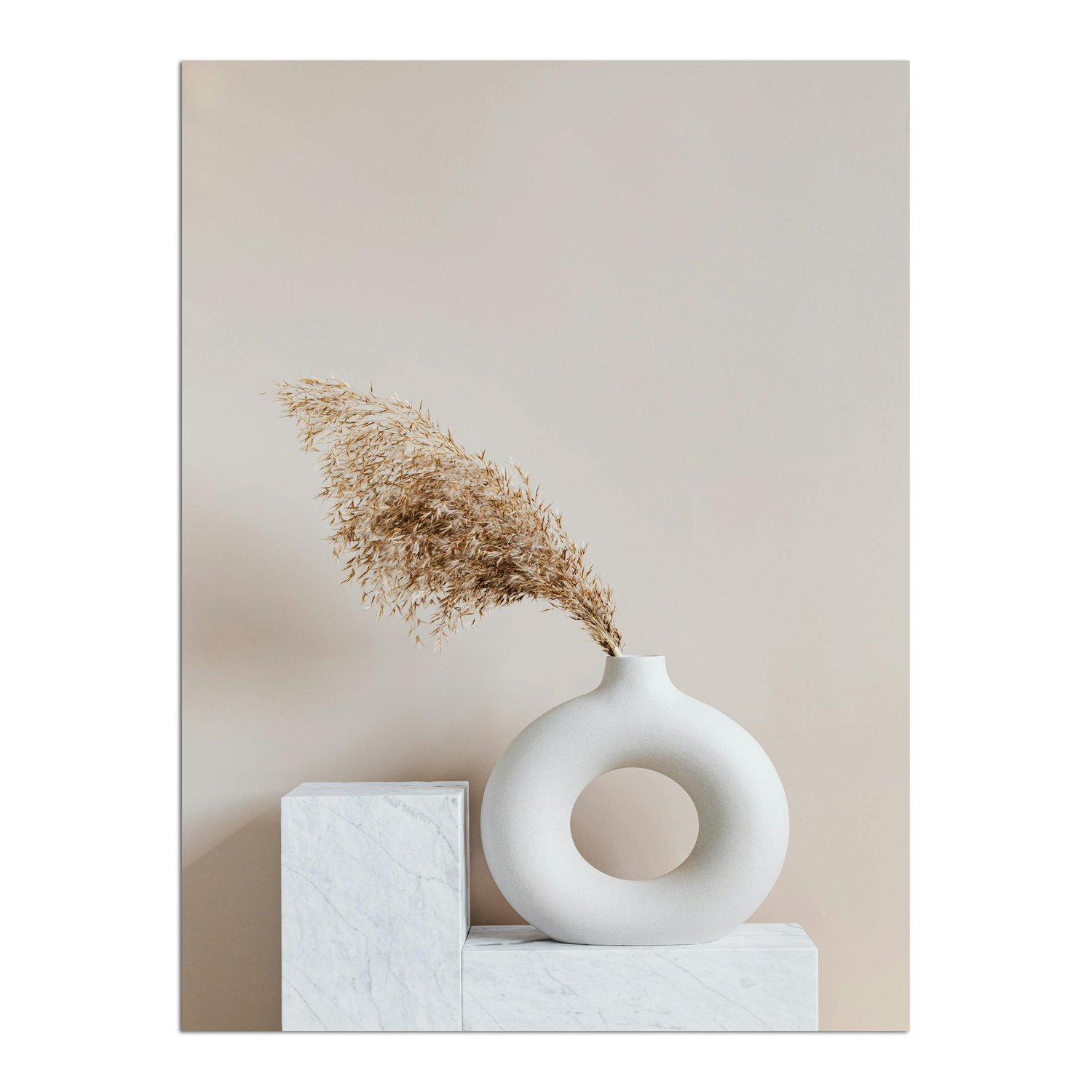 Placa Decorativa Natureza Minimalista Plantas Secas