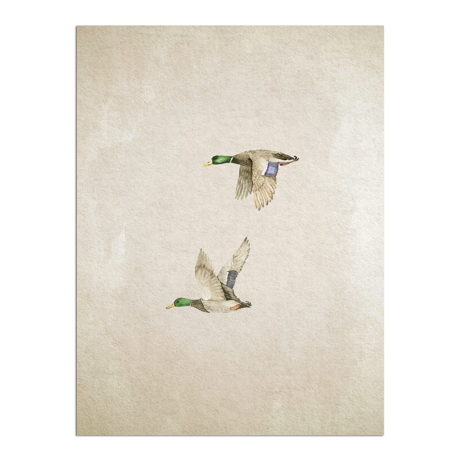 Placa Decorativa Patos Vintage Farmhouse