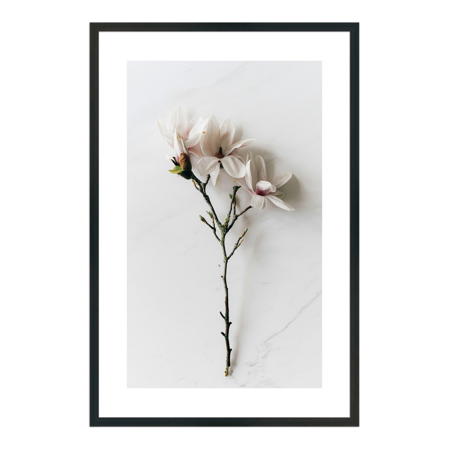 Quadro Decorativo Natureza Minimalista Flores