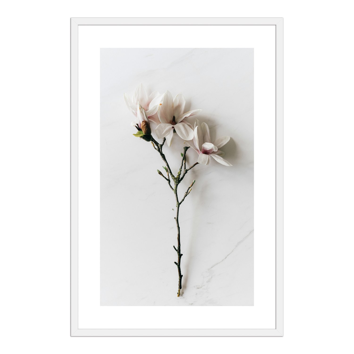 Quadro Decorativo Natureza Minimalista Flores