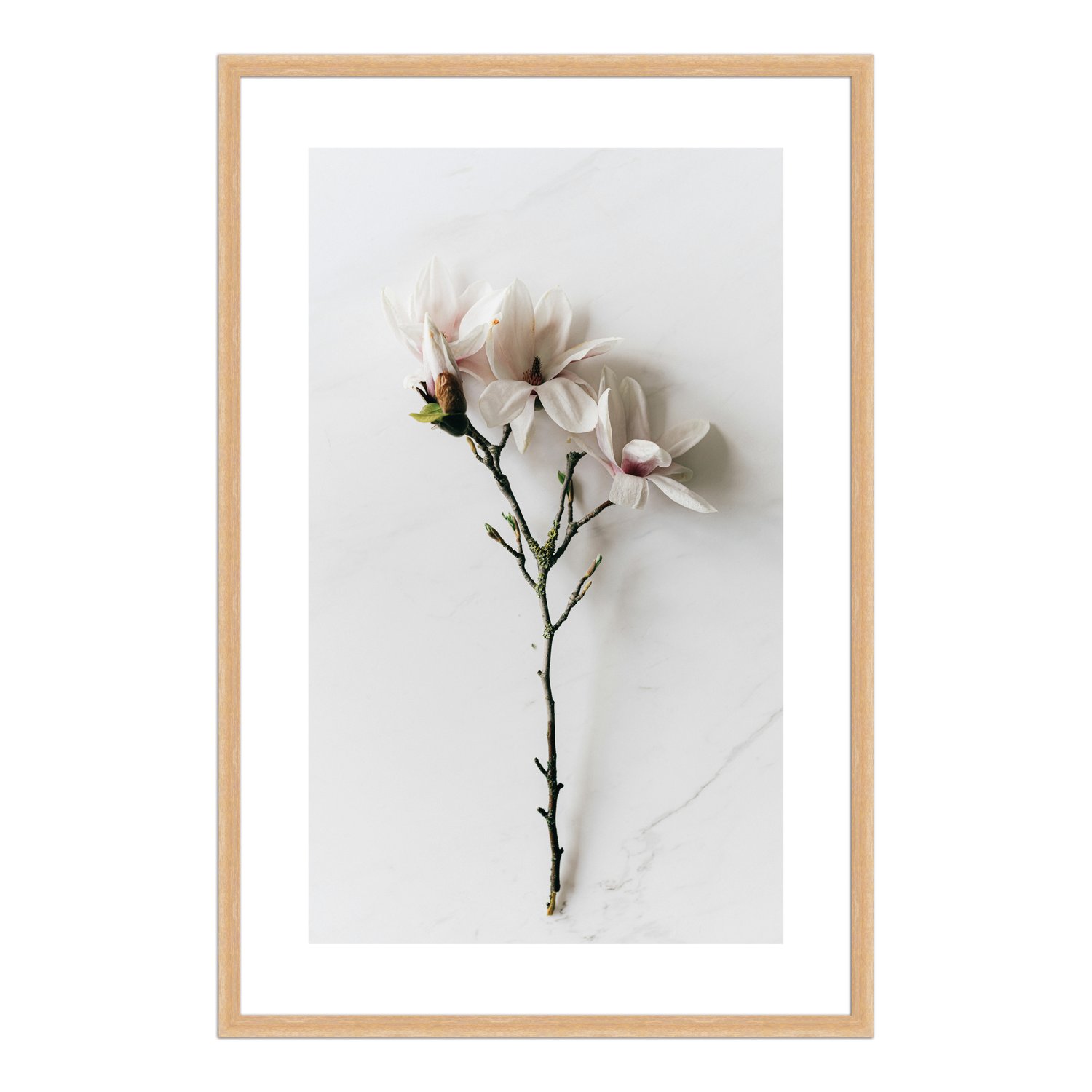 Quadro Decorativo Natureza Minimalista Flores