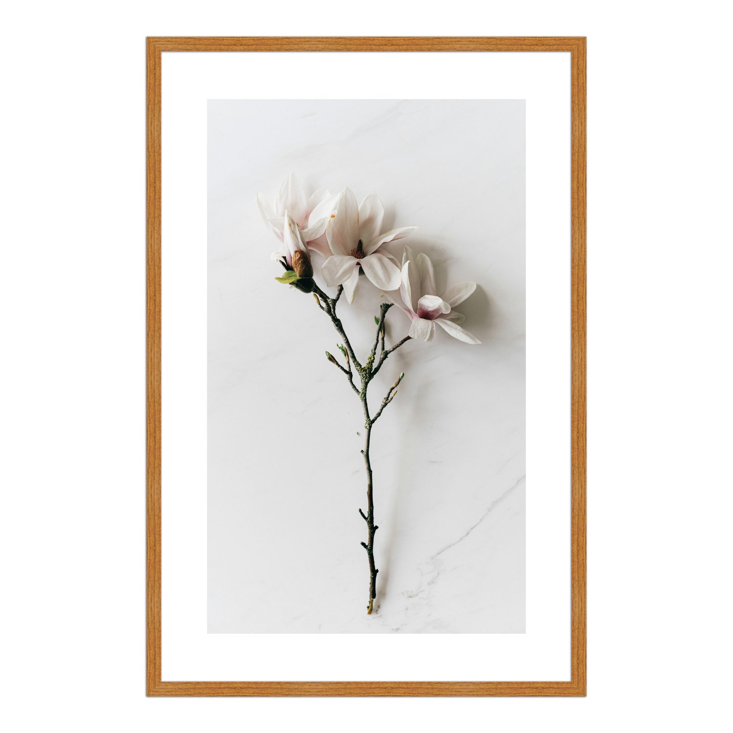 Quadro Decorativo Natureza Minimalista Flores