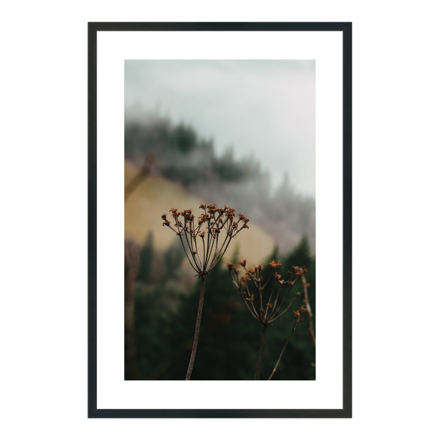 Quadro Decorativo Natureza Minimalista Flores