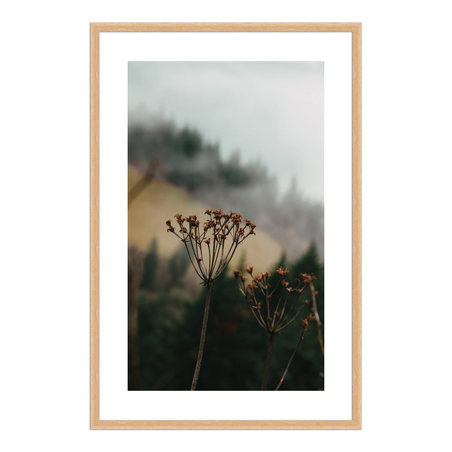 Quadro Decorativo Natureza Minimalista Flores