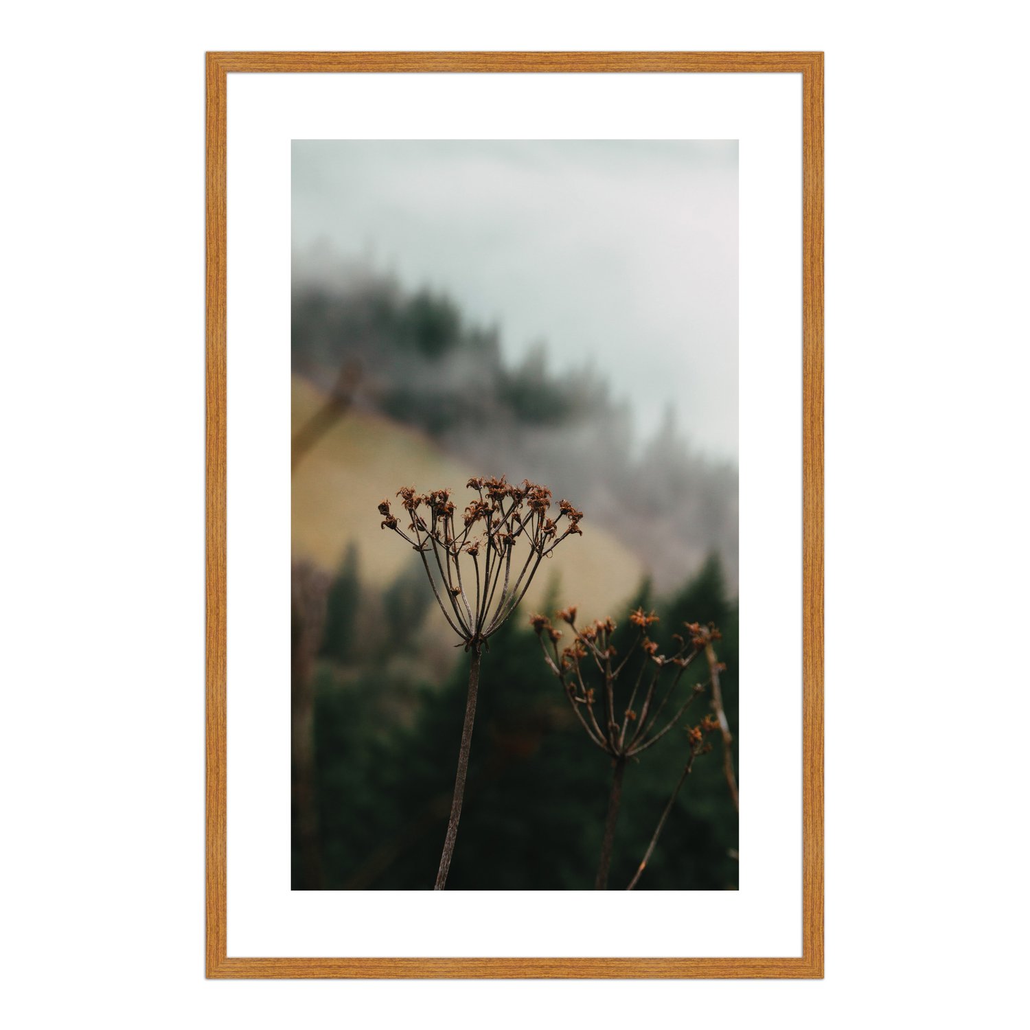Quadro Decorativo Natureza Minimalista Flores