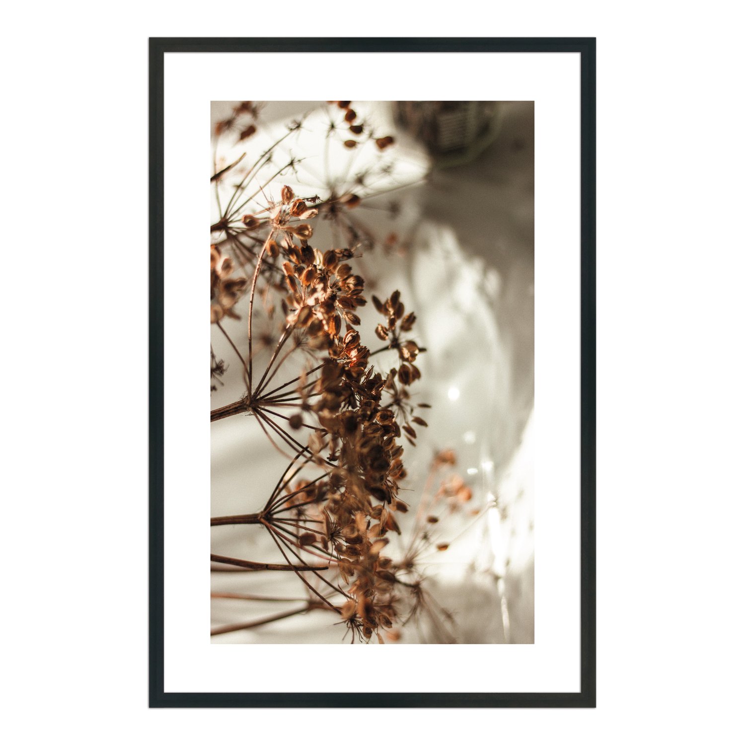 Quadro Decorativo Natureza Minimalista Flores