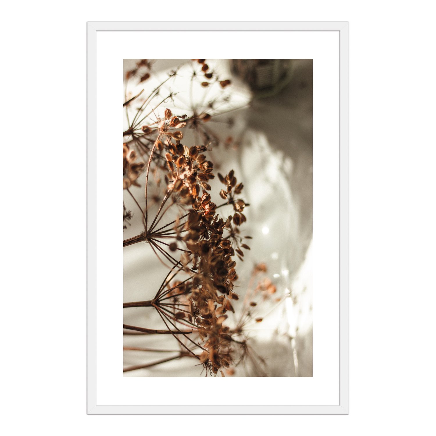 Quadro Decorativo Natureza Minimalista Flores