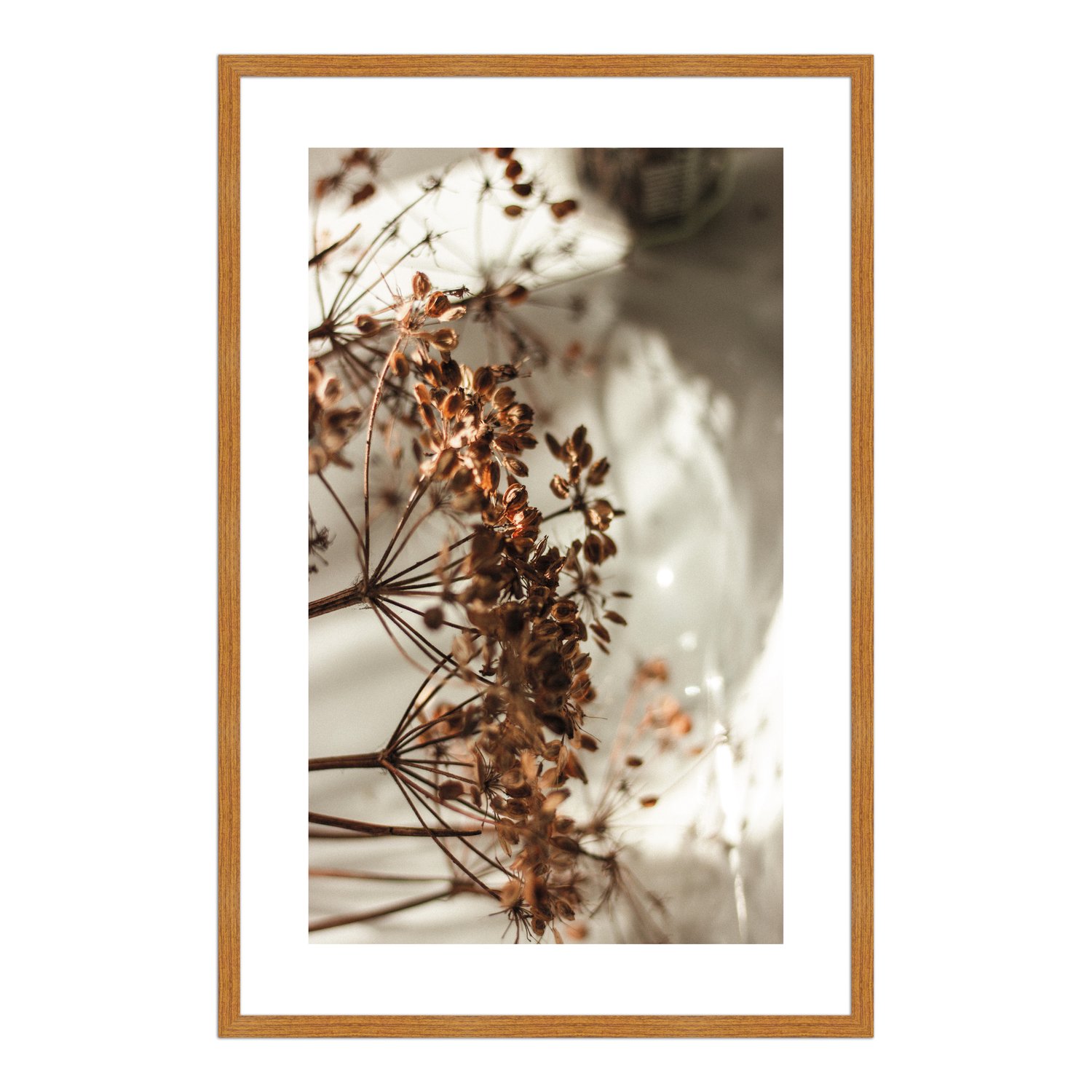 Quadro Decorativo Natureza Minimalista Flores