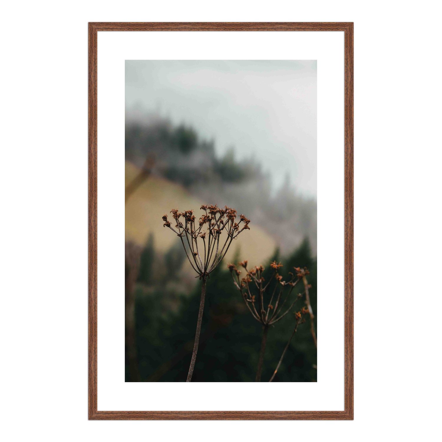 Quadro Decorativo Natureza Minimalista Flores