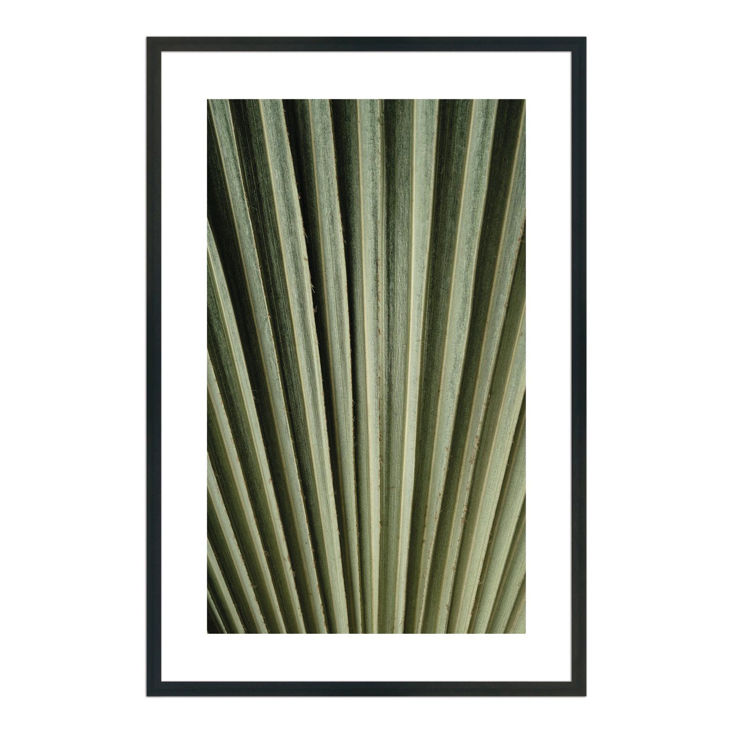 Quadro Decorativo Natureza Minimalista Folha Verde