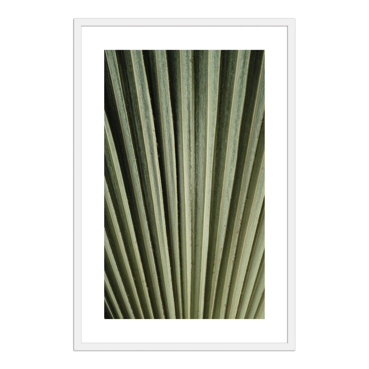 Quadro Decorativo Natureza Minimalista Folha Verde
