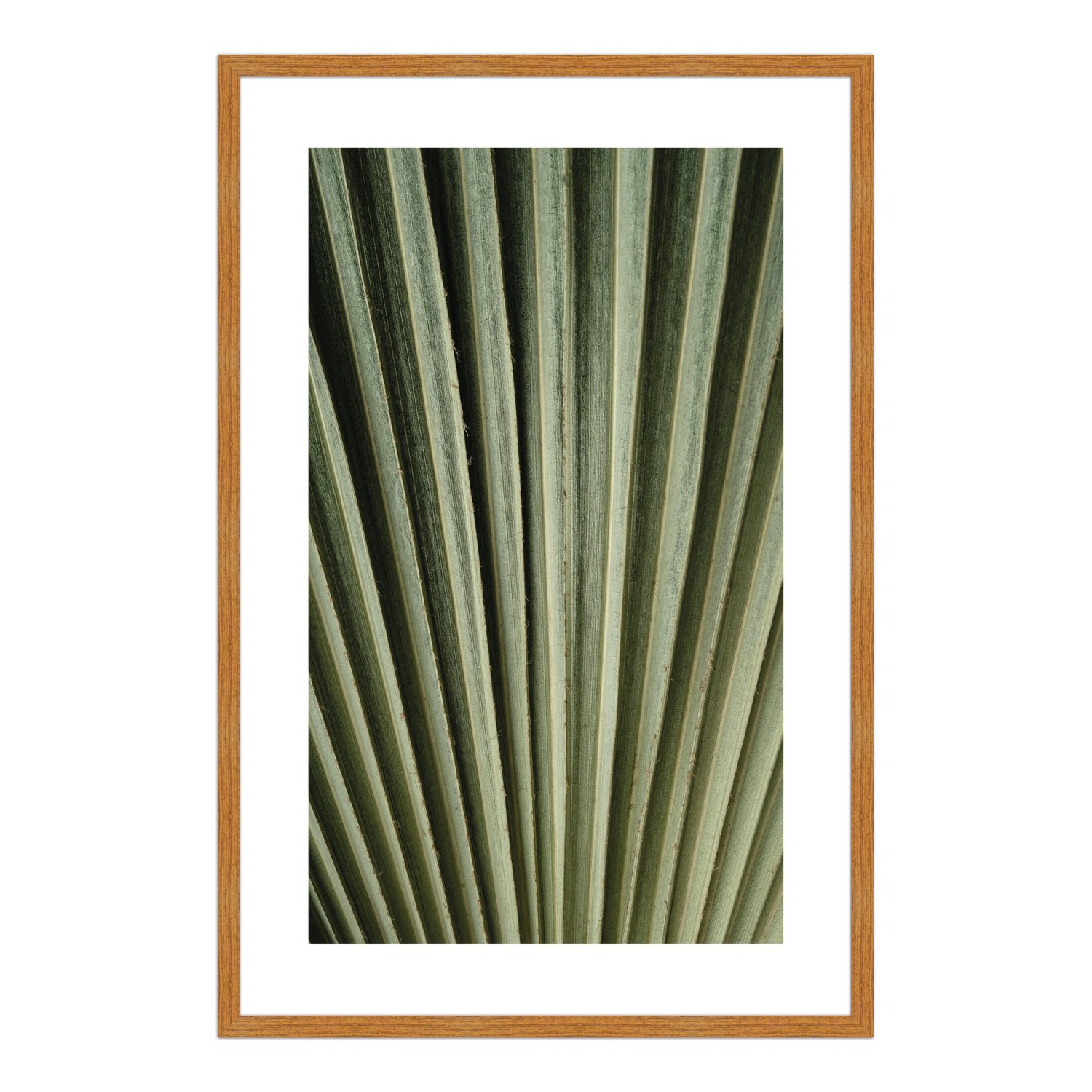 Quadro Decorativo Natureza Minimalista Folha Verde