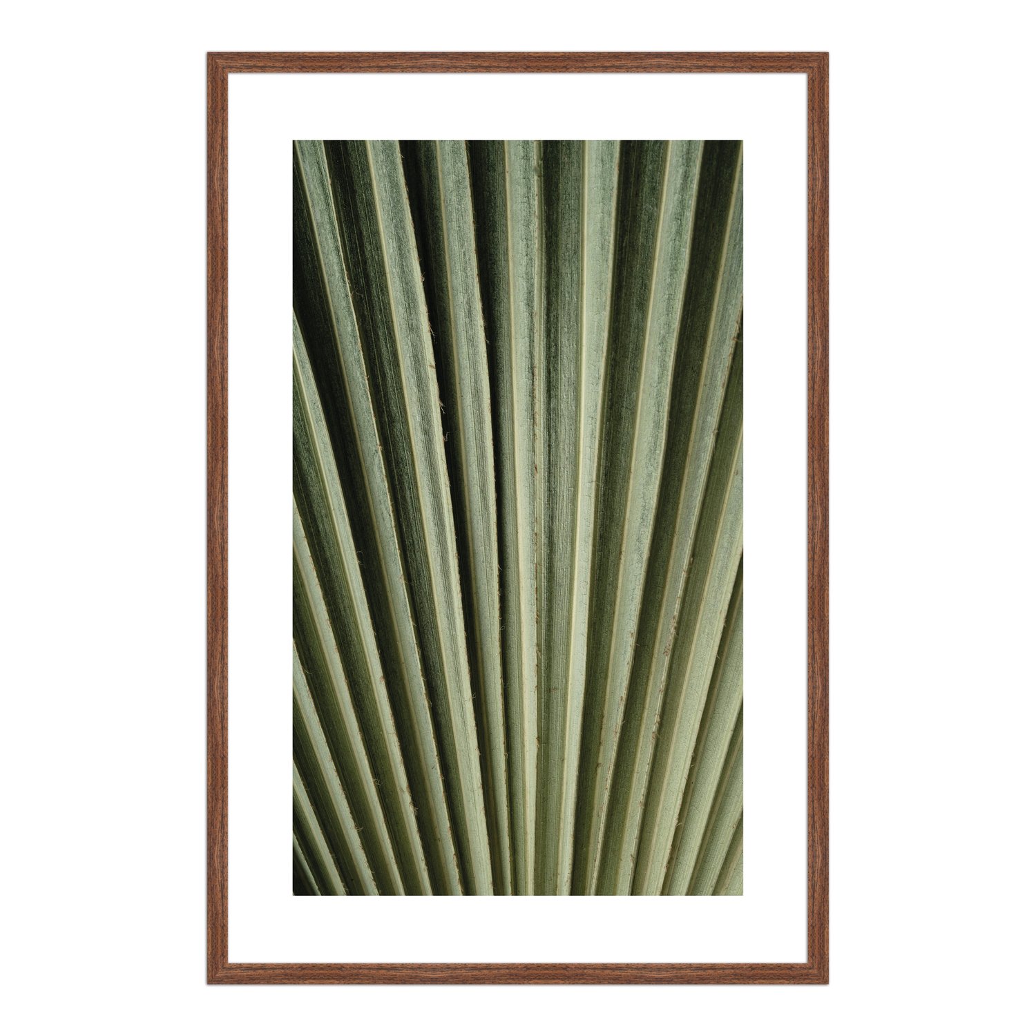 Quadro Decorativo Natureza Minimalista Folha Verde