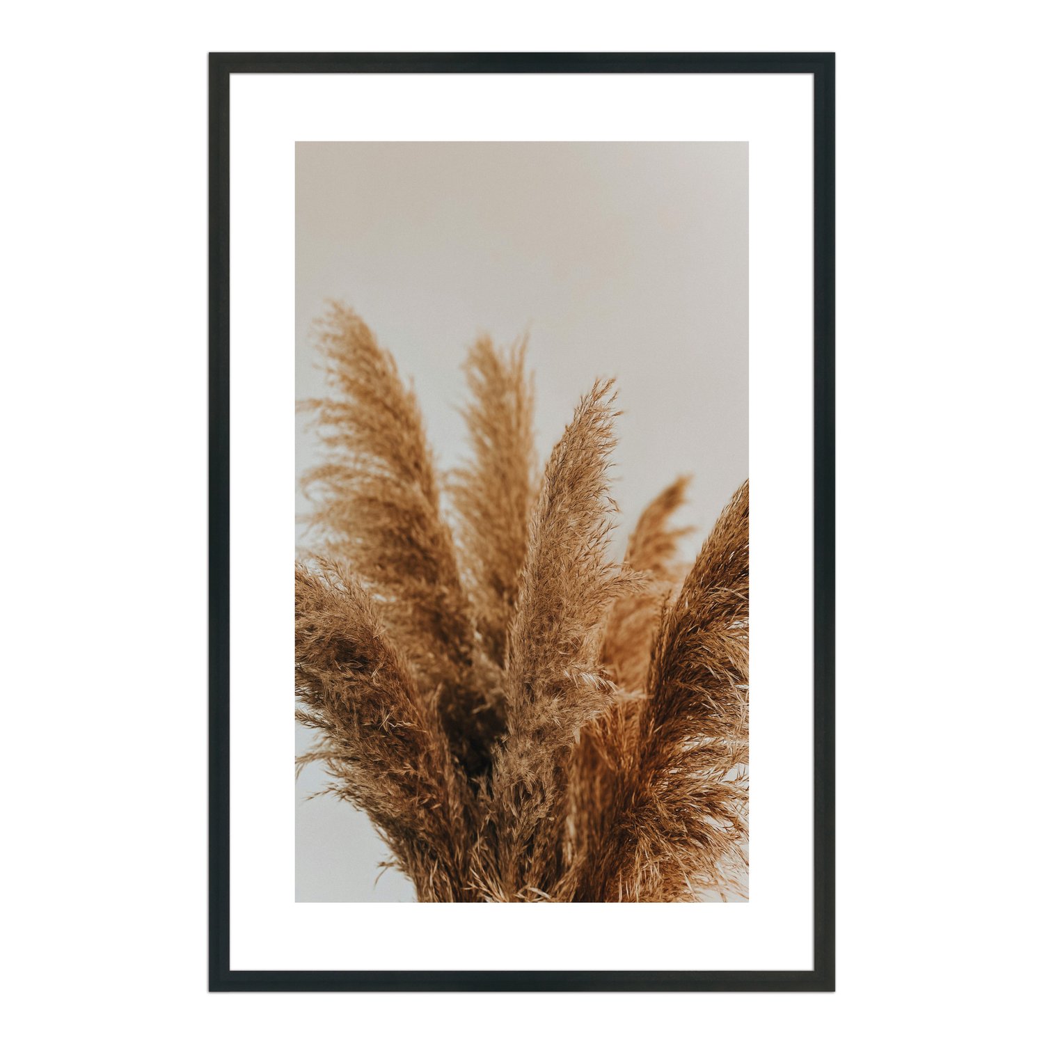 Quadro Decorativo Natureza Minimalista Plantas Secas