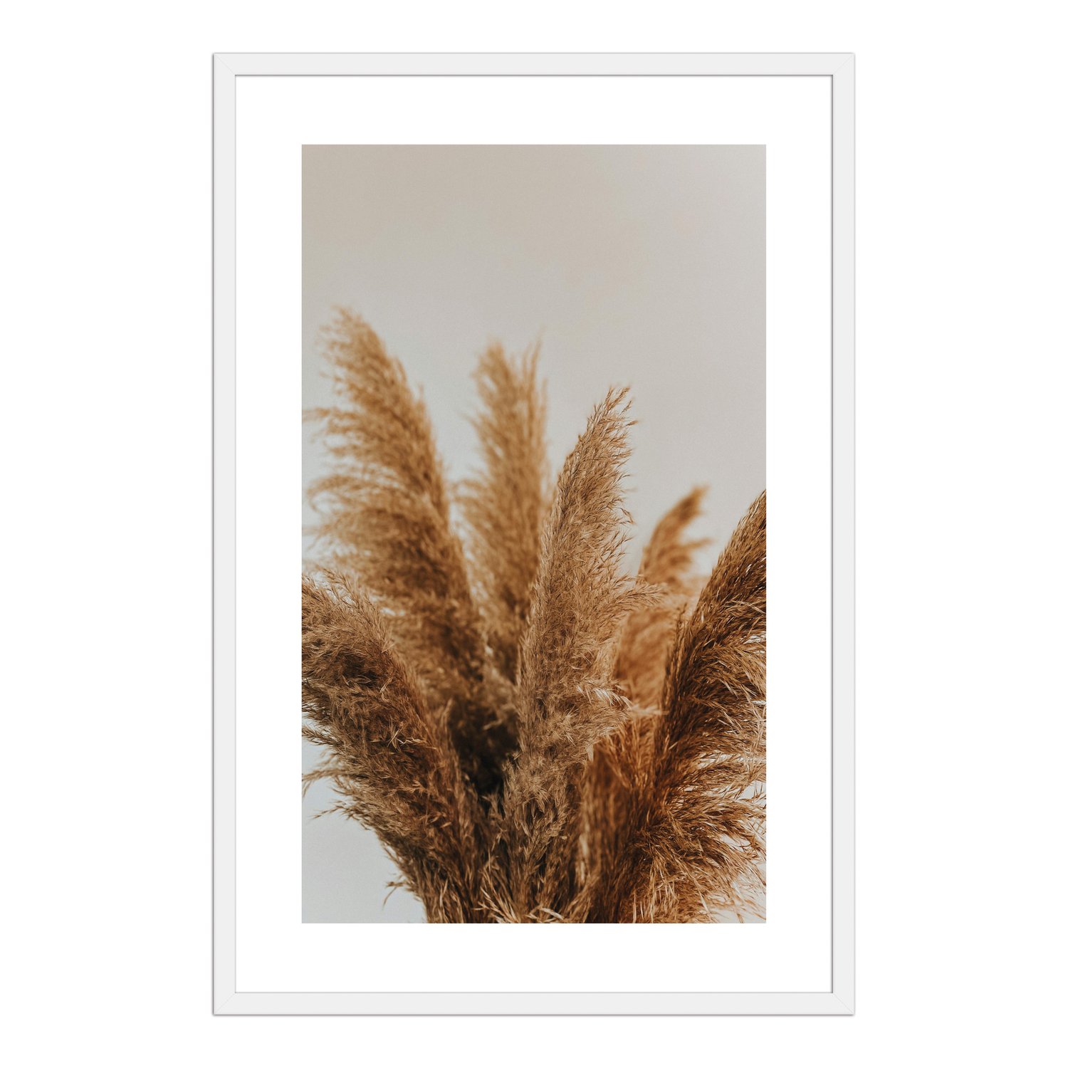 Quadro Decorativo Natureza Minimalista Plantas Secas