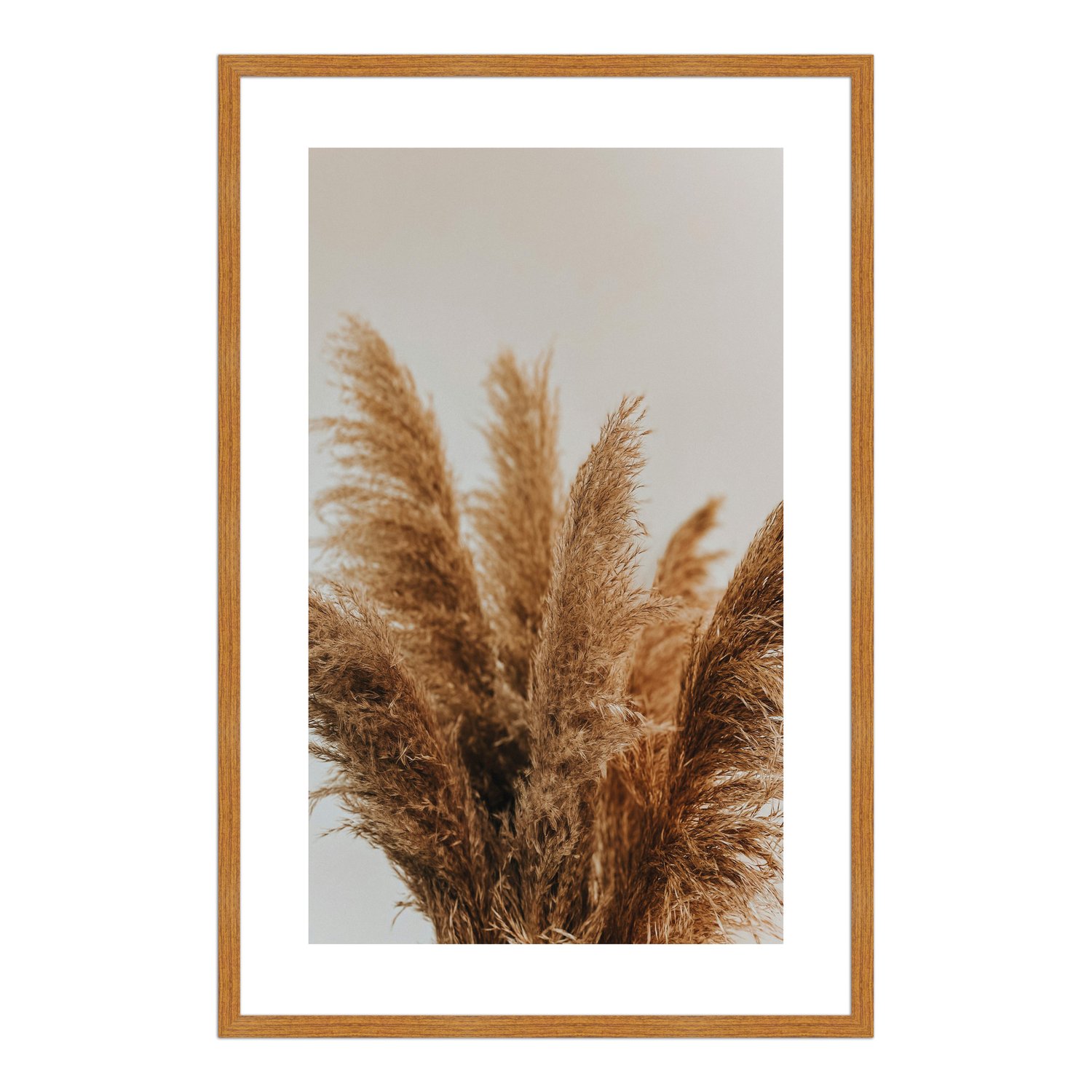 Quadro Decorativo Natureza Minimalista Plantas Secas