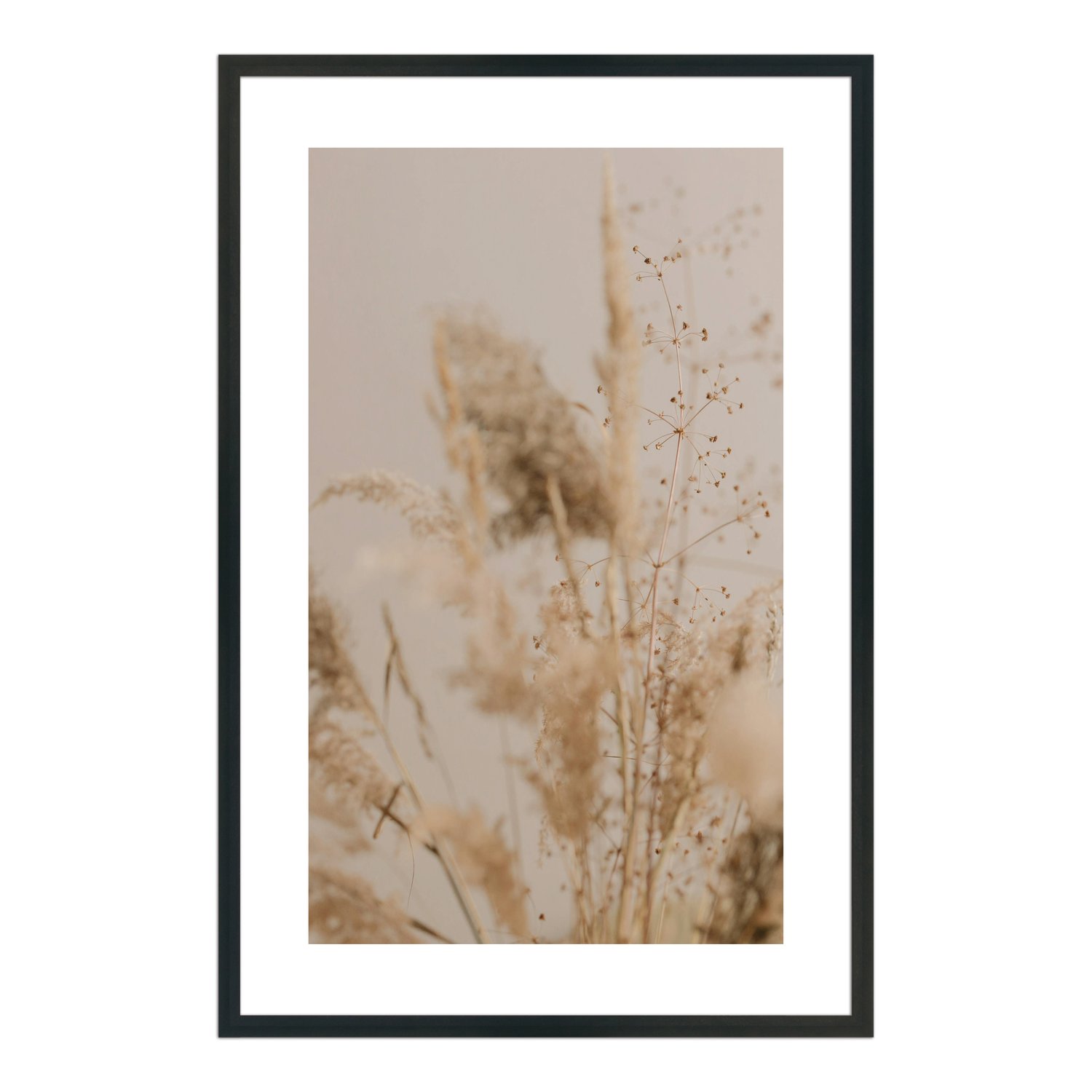 Quadro Decorativo Natureza Minimalista Plantas Secas