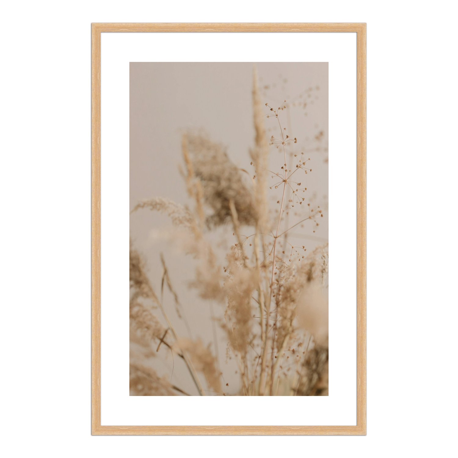 Quadro Decorativo Natureza Minimalista Plantas Secas