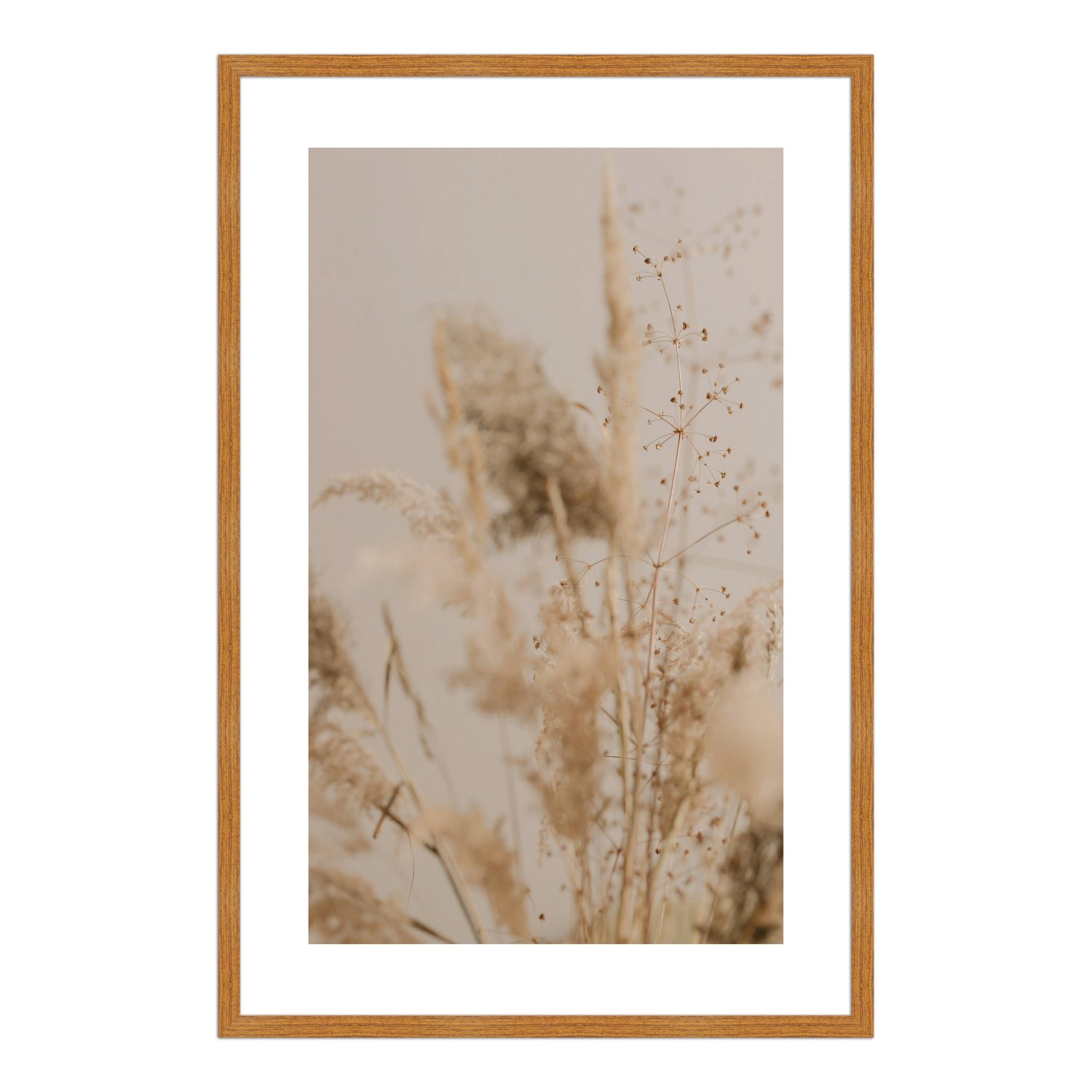 Quadro Decorativo Natureza Minimalista Plantas Secas