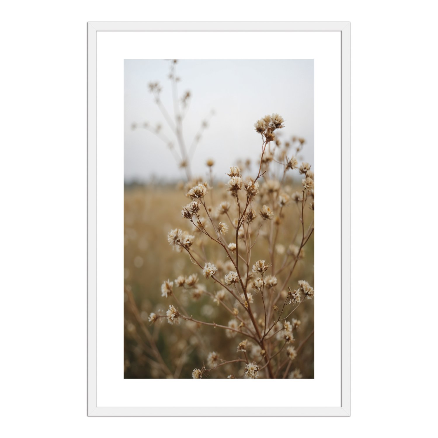 Quadro Decorativo Natureza Minimalista Plantas Secas