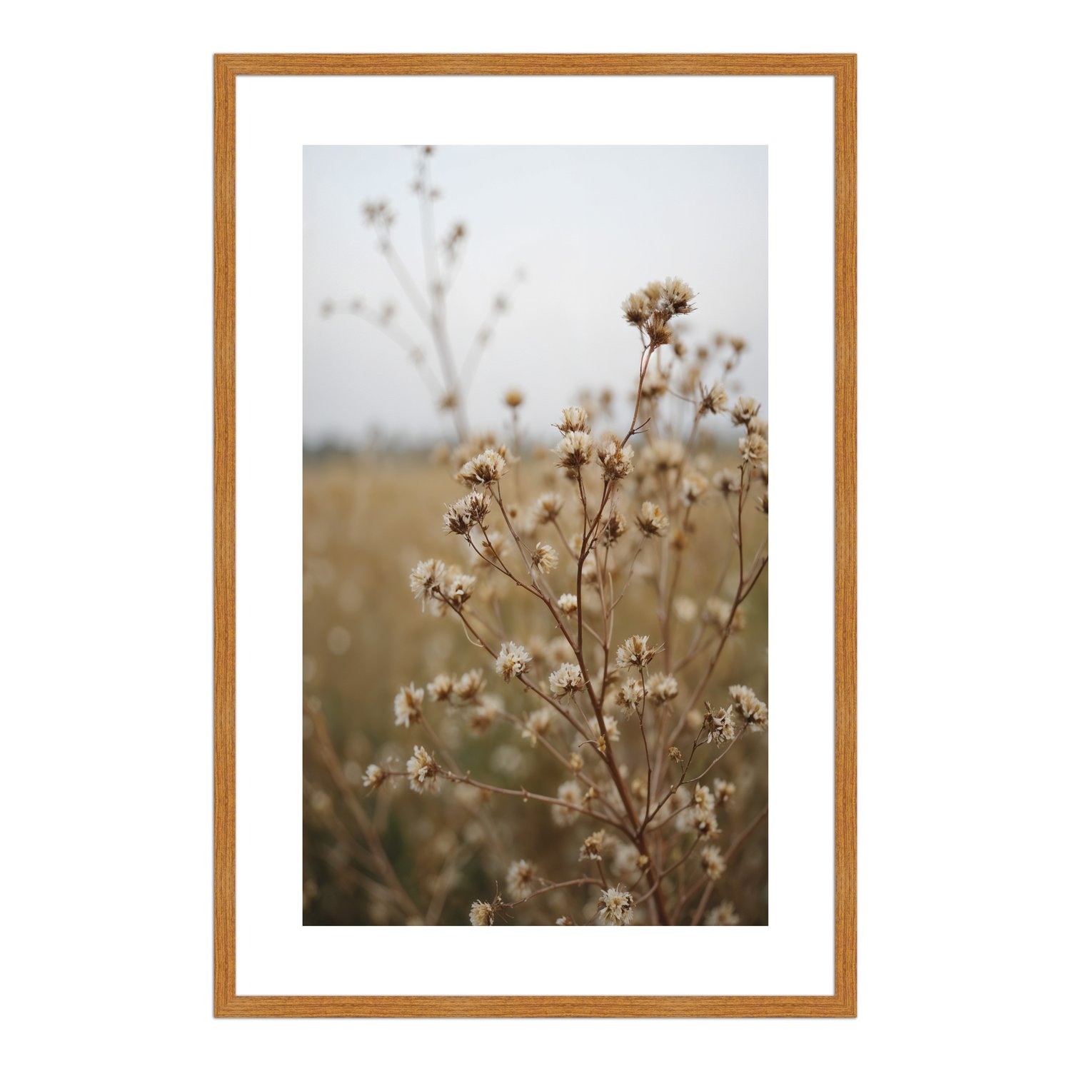 Quadro Decorativo Natureza Minimalista Plantas Secas