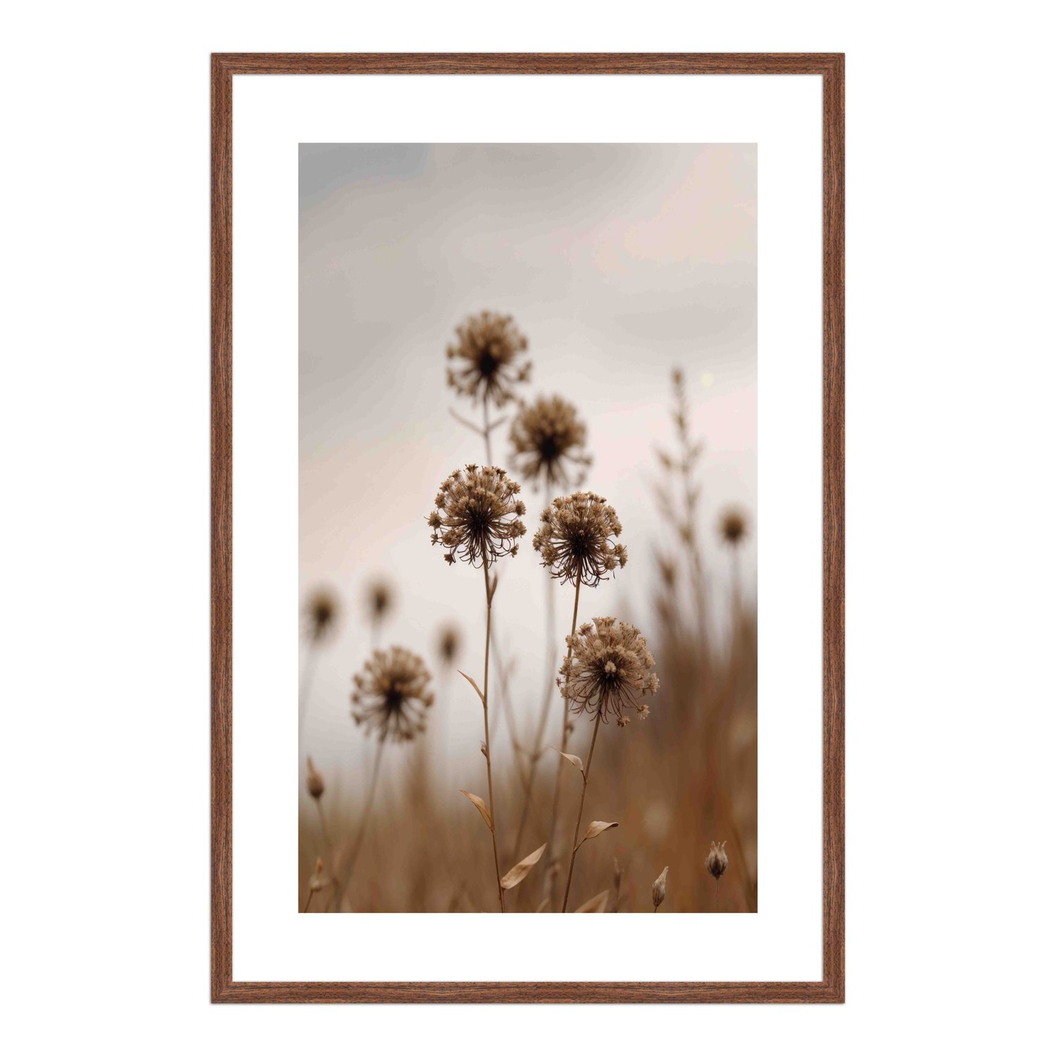 Quadro Decorativo Natureza Minimalista Plantas Secas