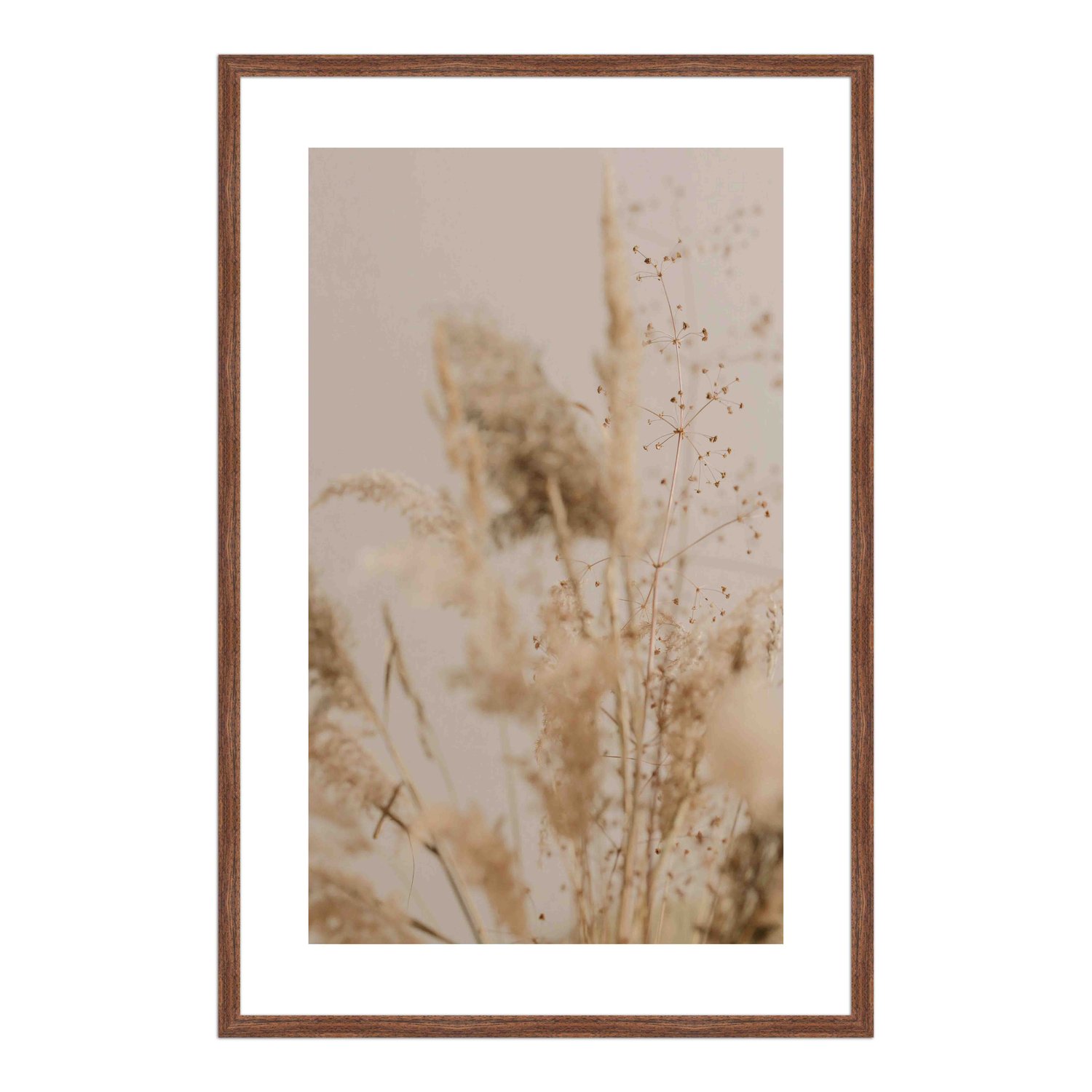 Quadro Decorativo Natureza Minimalista Plantas Secas