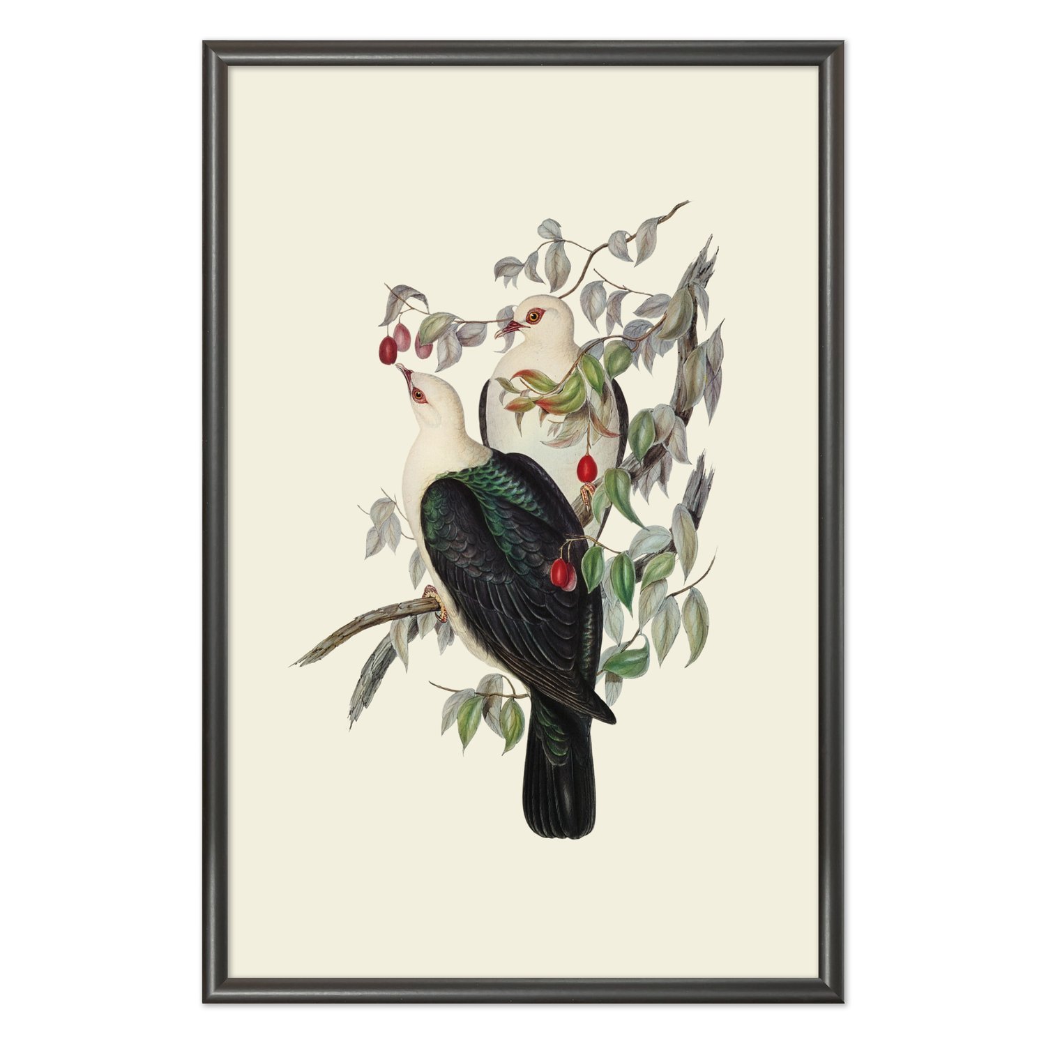Quadro Decorativo Pombos De Fruta Vintage