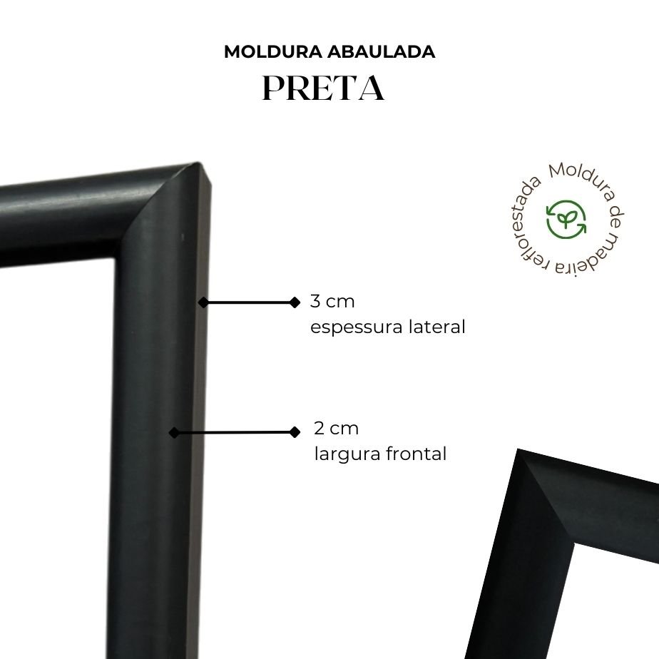 Quadro Decorativo Vasos Botânicos Estilo Modern Heritage