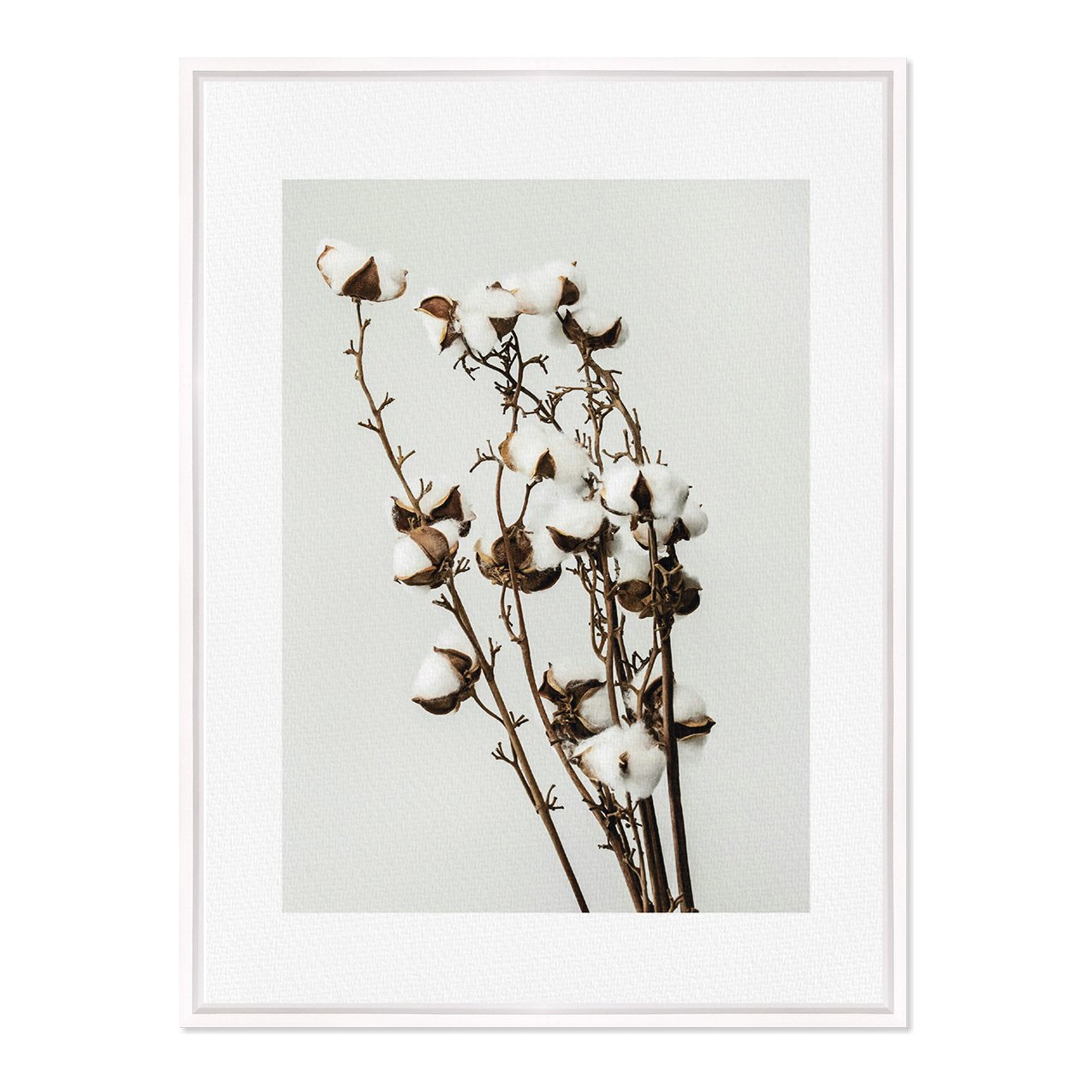 Quadro Em Tela Canvas Natureza Minimalista Algodão