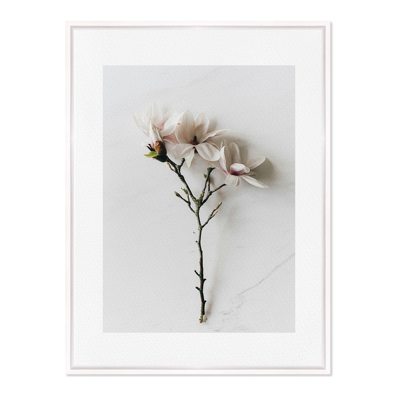 Quadro Em Tela Canvas Natureza Minimalista Flores