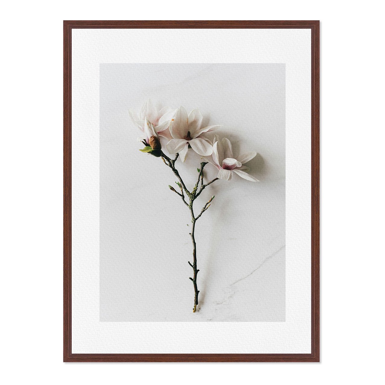 Quadro Em Tela Canvas Natureza Minimalista Flores