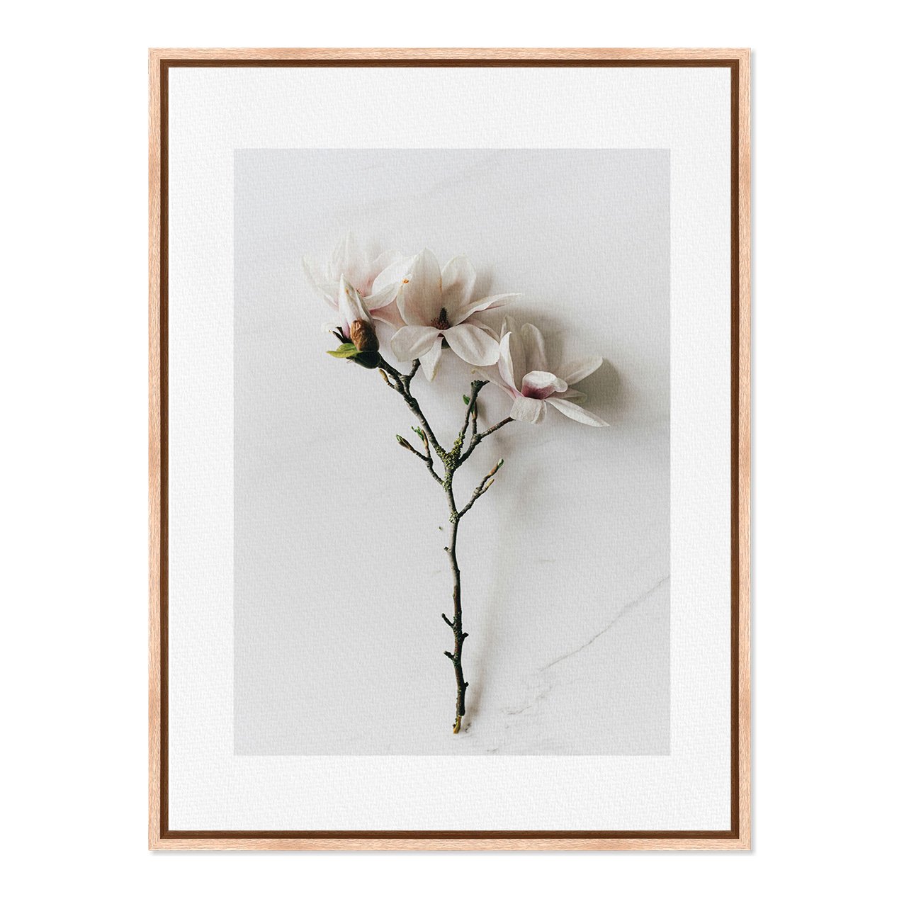 Quadro Em Tela Canvas Natureza Minimalista Flores