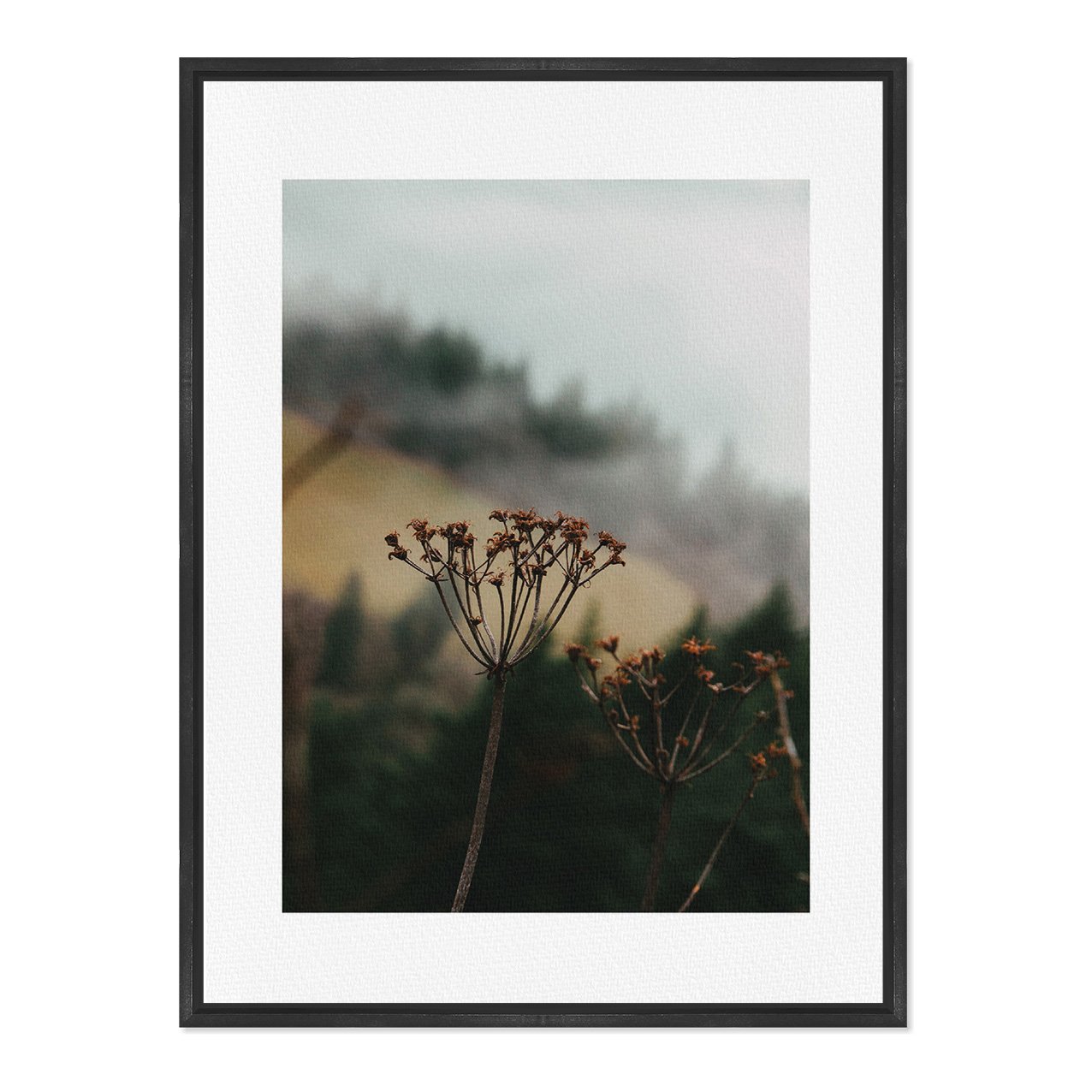Quadro Em Tela Canvas Natureza Minimalista Flores