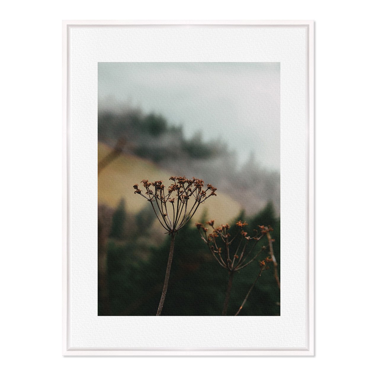 Quadro Em Tela Canvas Natureza Minimalista Flores