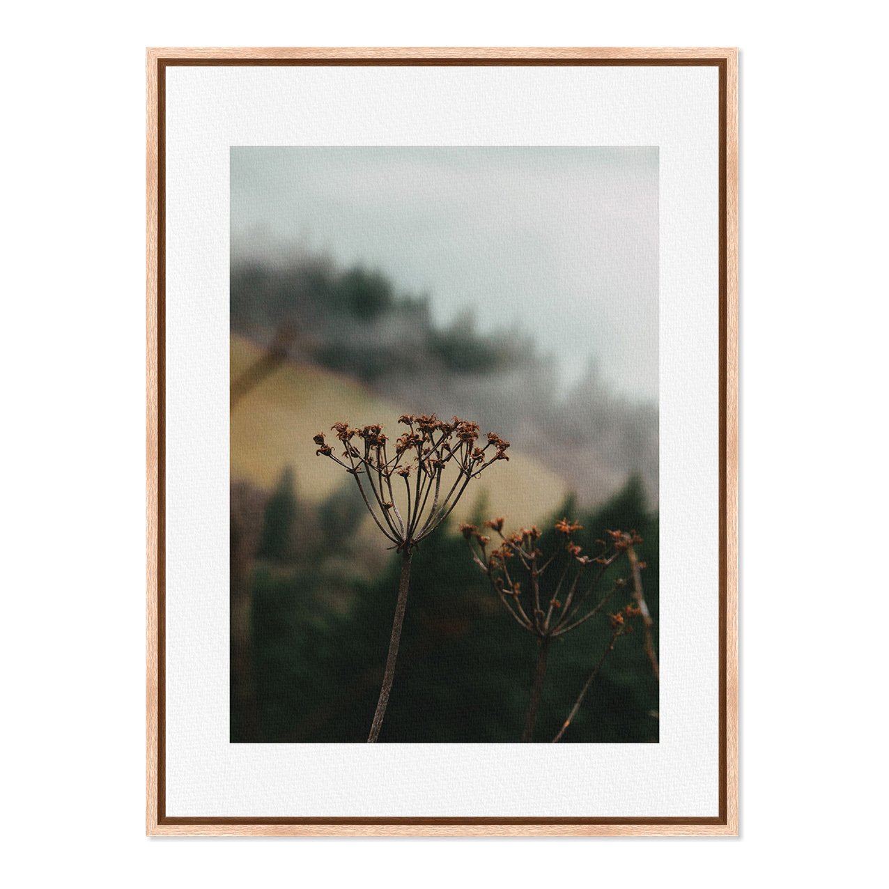 Quadro Em Tela Canvas Natureza Minimalista Flores