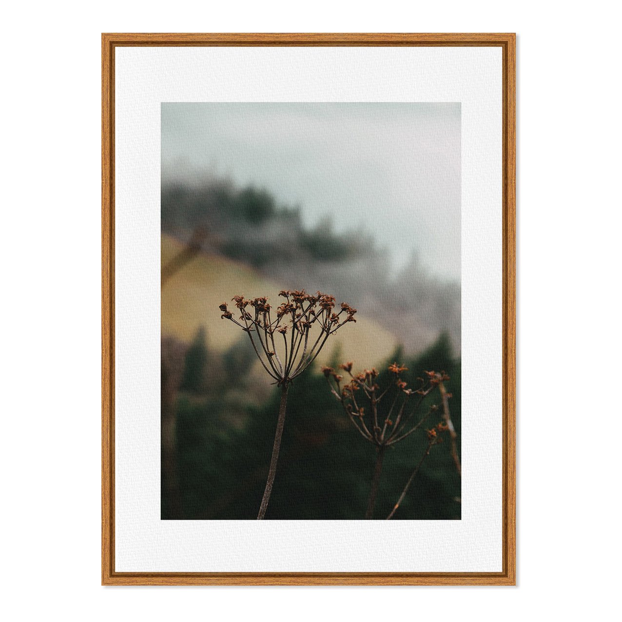 Quadro Em Tela Canvas Natureza Minimalista Flores