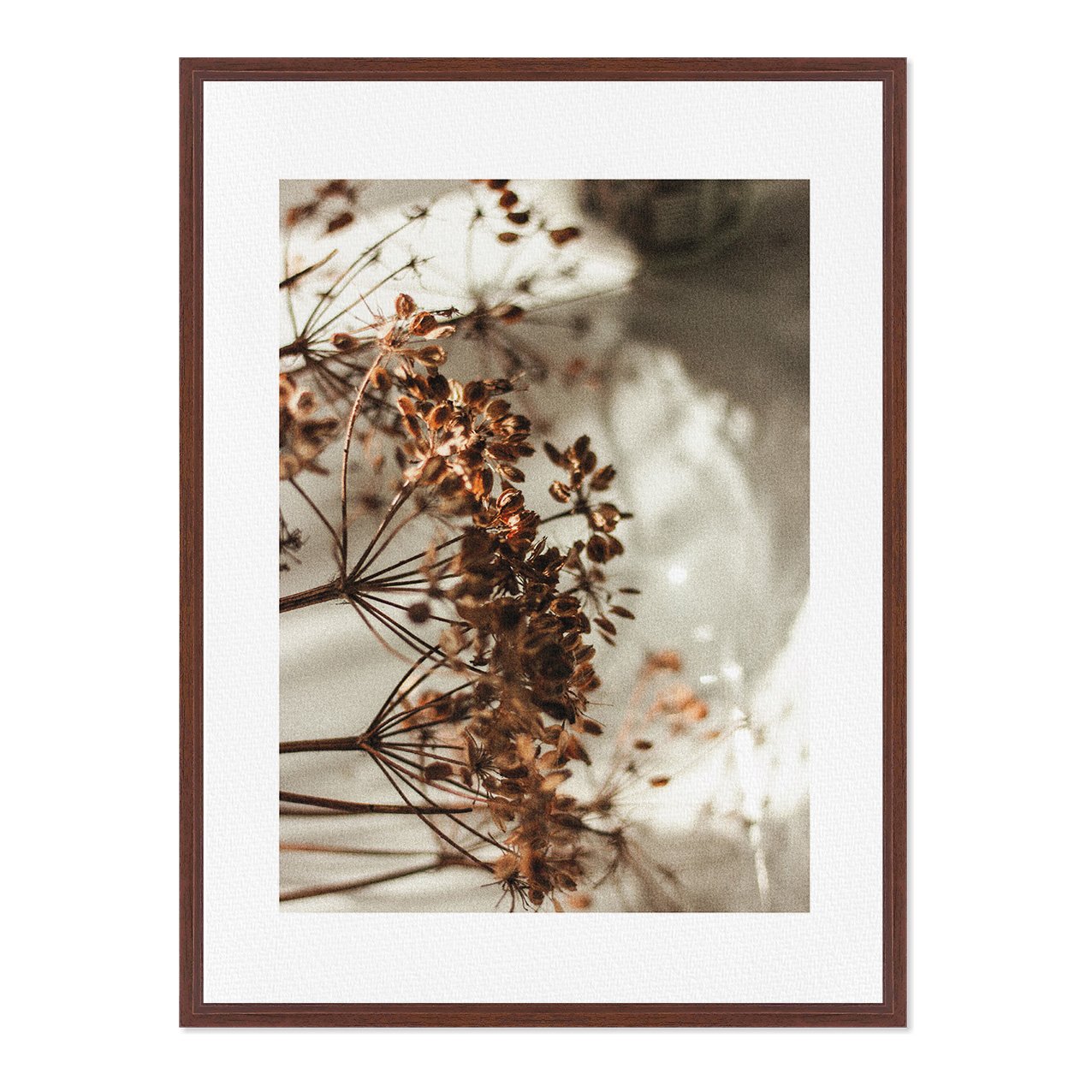 Quadro Em Tela Canvas Natureza Minimalista Flores