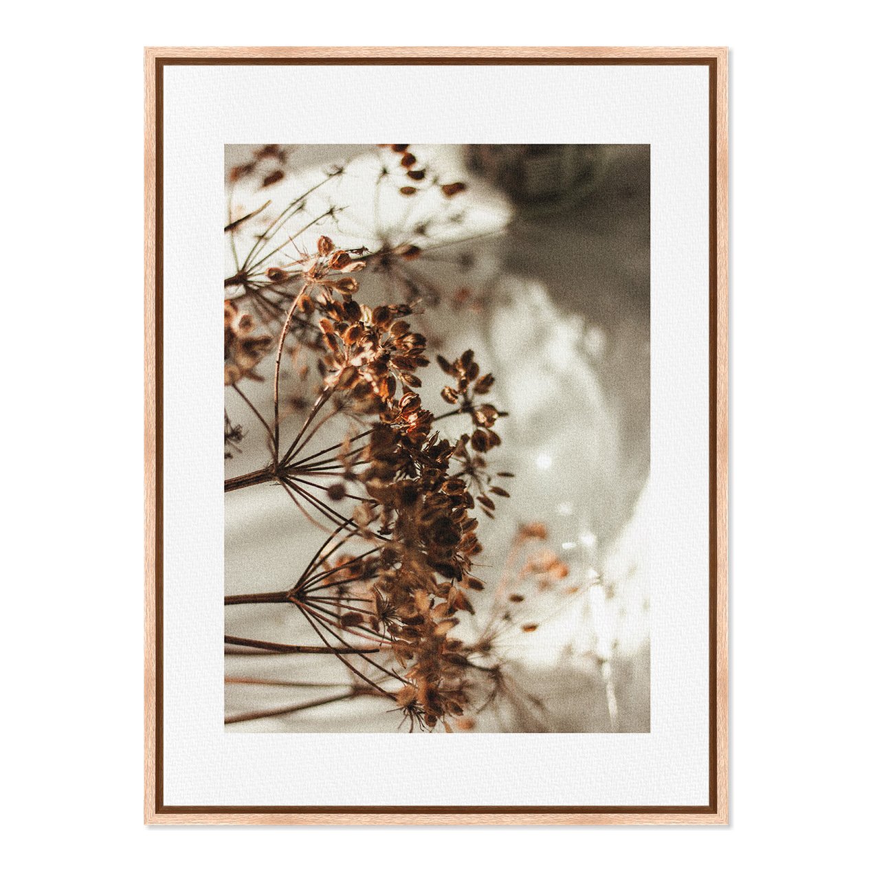 Quadro Em Tela Canvas Natureza Minimalista Flores