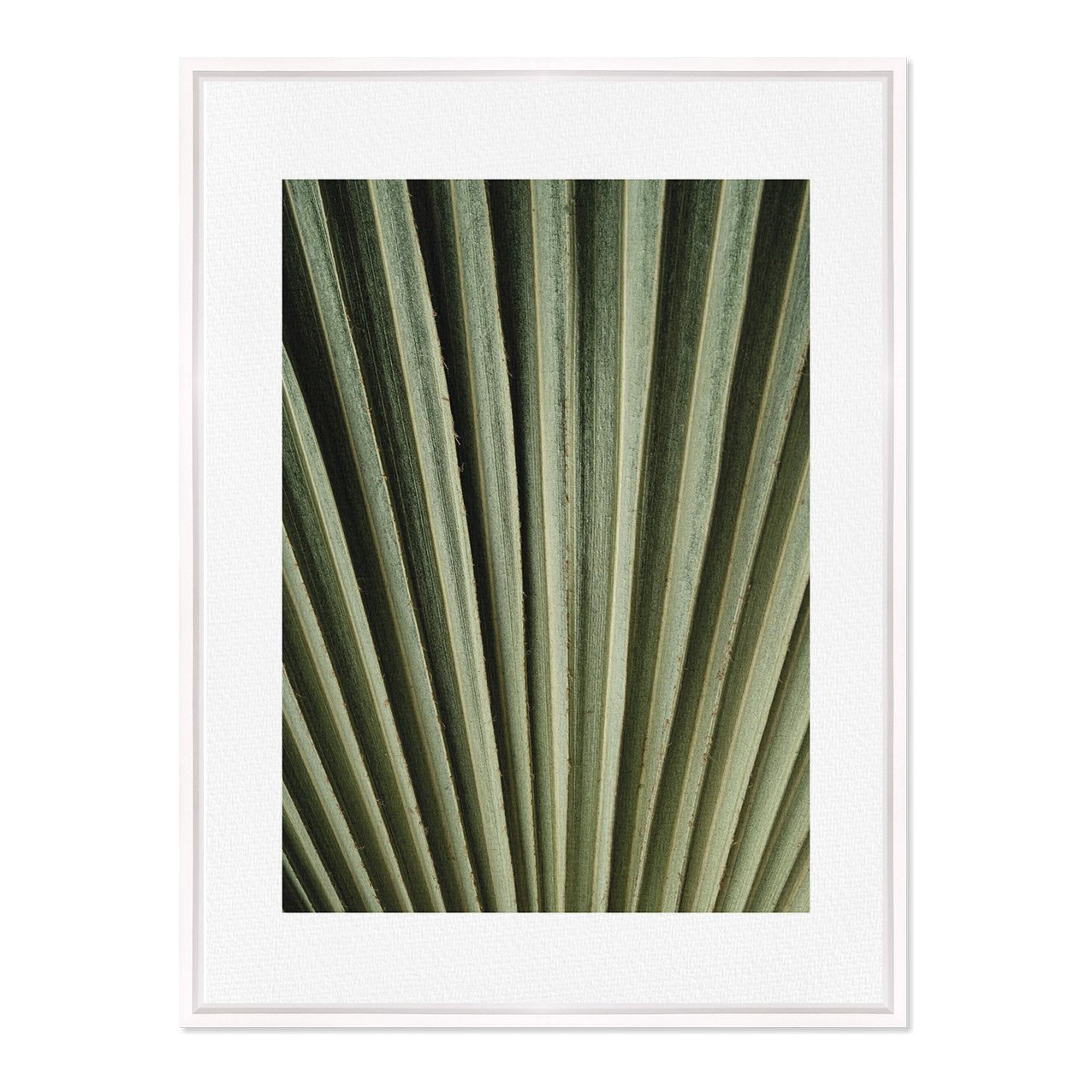 Quadro Em Tela Canvas Natureza Minimalista Folha Verde