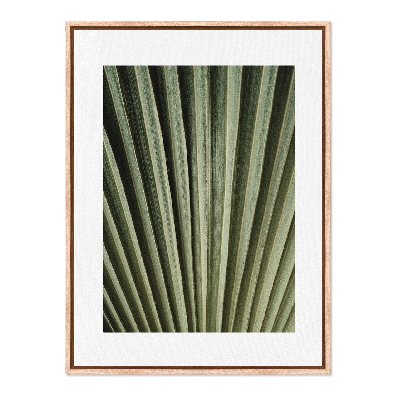Quadro Em Tela Canvas Natureza Minimalista Folha Verde