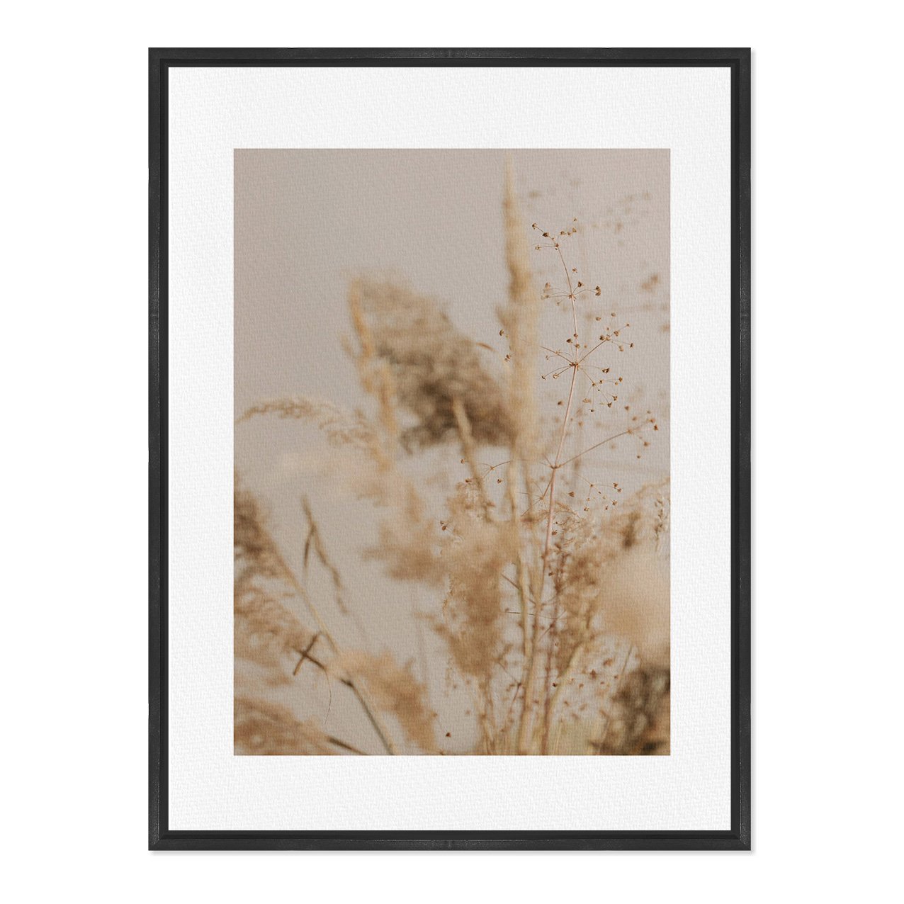 Quadro Em Tela Canvas Natureza Minimalista Plantas Secas
